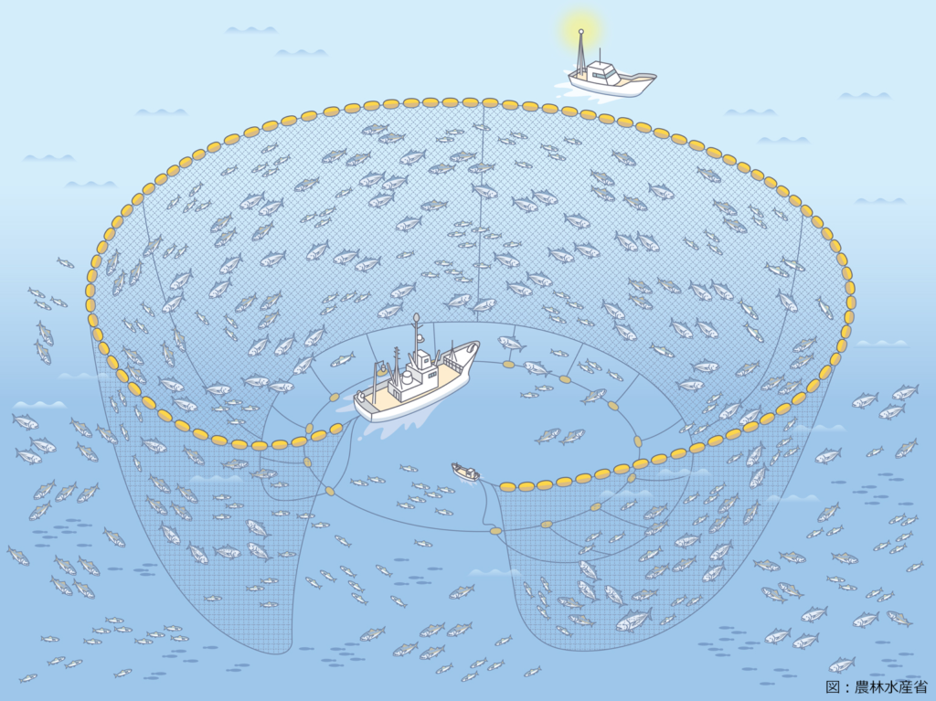 サバの漁業について サバペディア