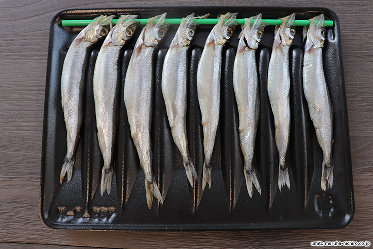 シシャモとカラフトシシャモ 皆さんはどこまでご存知ですか Umito 海と魚がもっと好きになる ウェブマガジン
