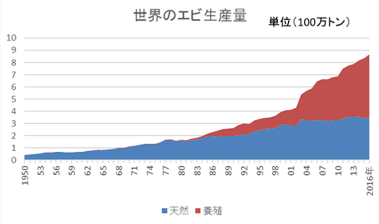 日本人の大好きなエビ 減っているの それとも増えているの Umito