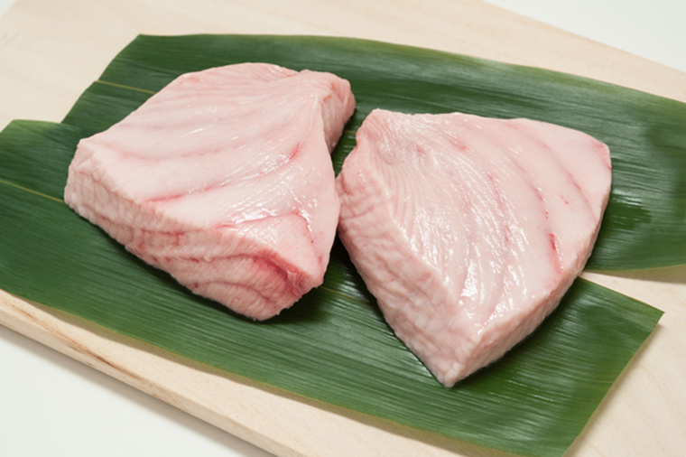 フカヒレだけではない おいしいサメのすすめ Umito 海と魚がもっと好きになる ウェブマガジン